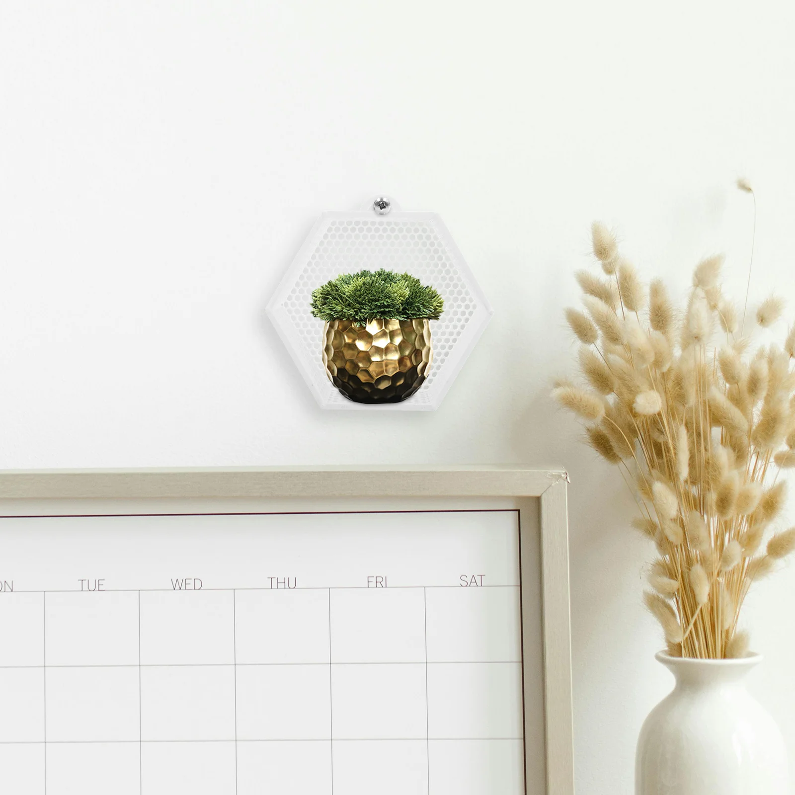 Рамка для посадки папоротника - Фотография_4