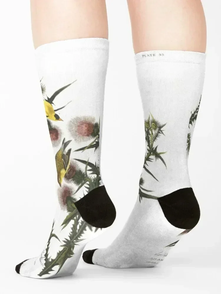 Носки goldfinch and thistle - Фотография_4