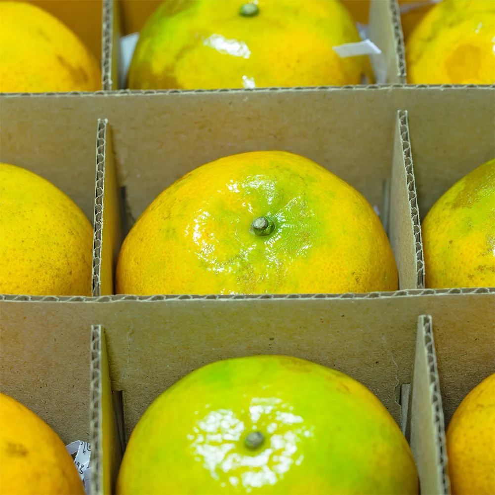 4 комплекта, сверхмощные гофрированные - Фотография_4