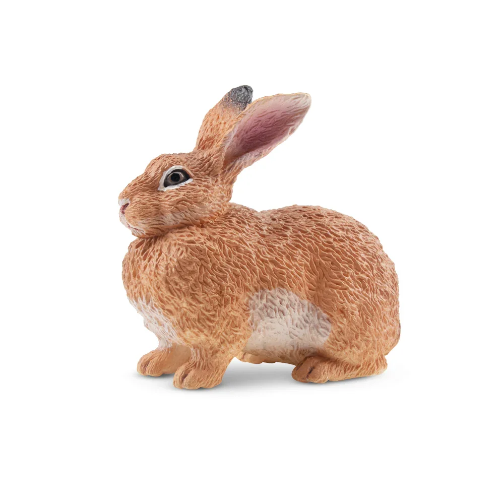 Toymany моделирование фламандский - Фотография_4
