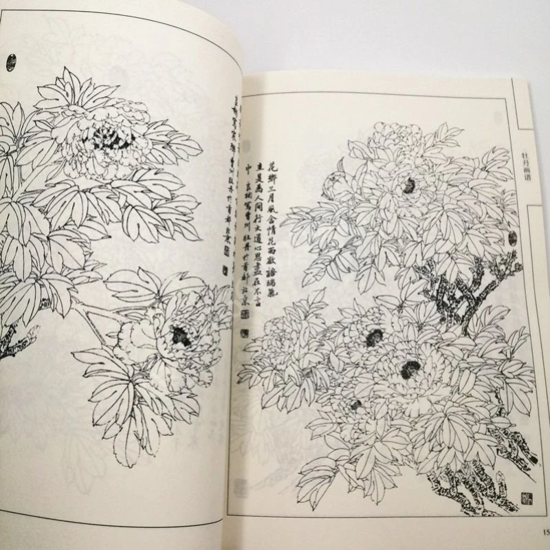 Китайский художник - Фотография_2