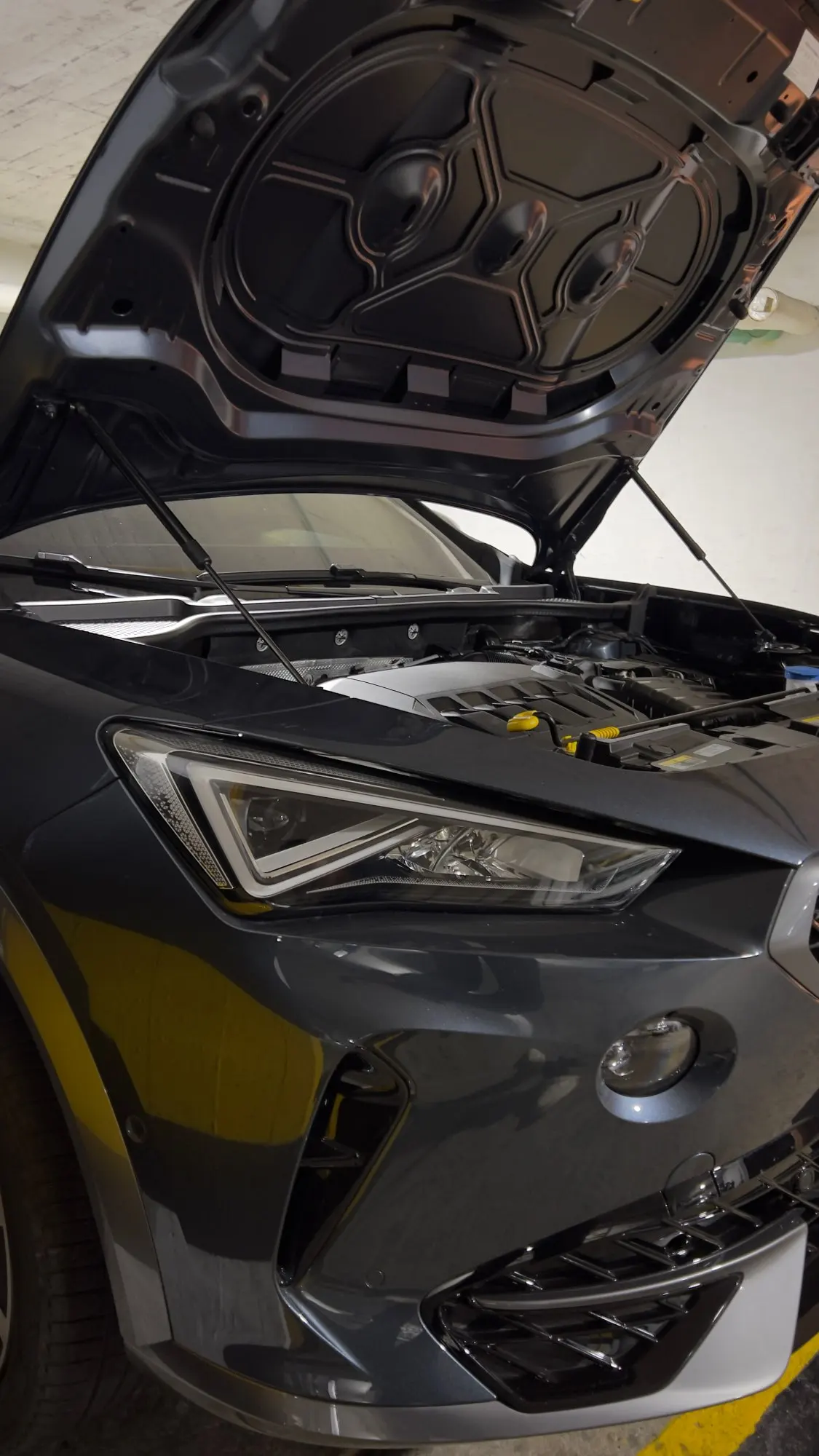 Амортизаторы капота для cupra formentor 2020-2025 - Фотография_5