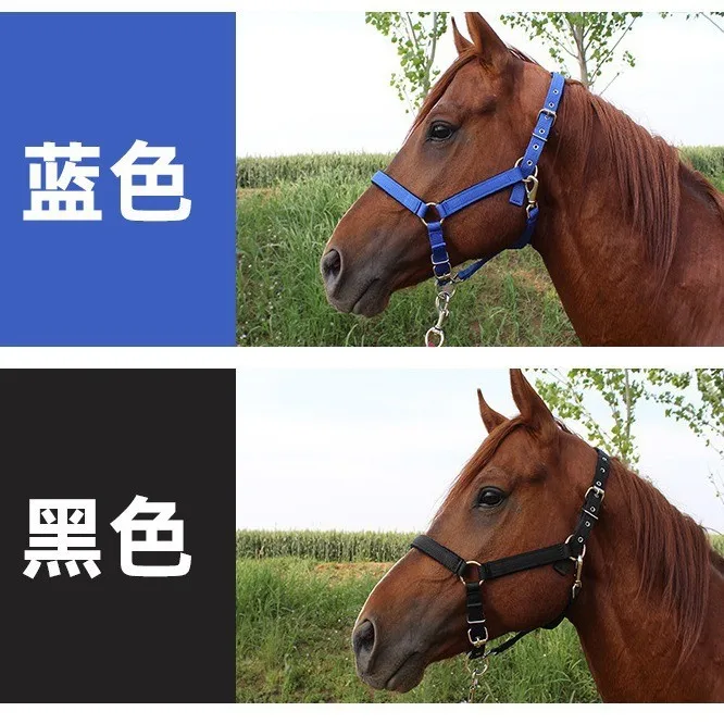 Профессиональный производитель - Фотография_5