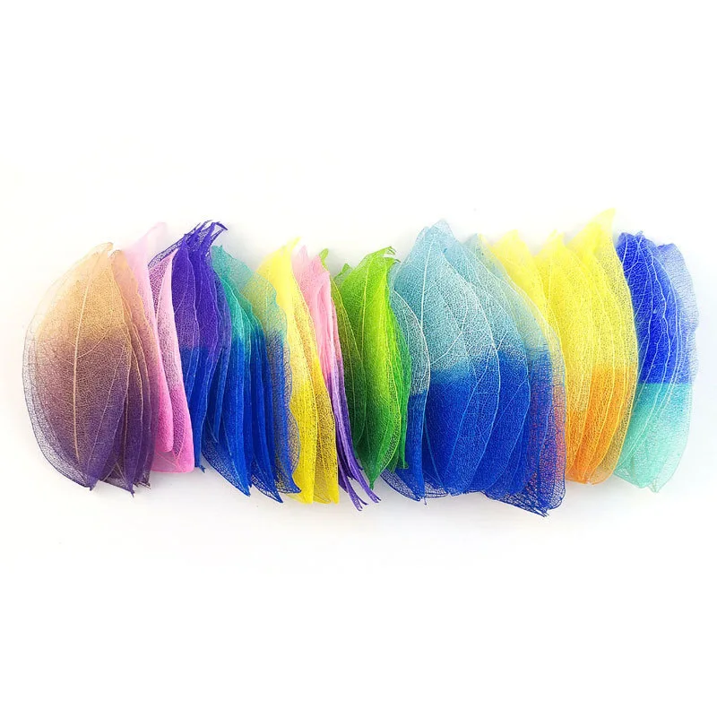 Листья магнолии с белыми ромбовидными прожилками - Фотография_3