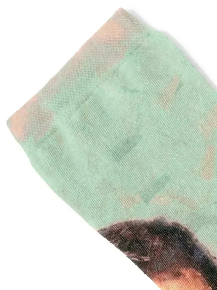 Рок хадсон носки до щиколотки скалолазание - Фотография_2