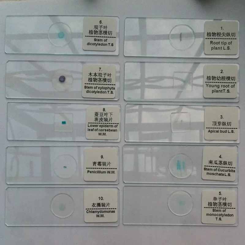 Профессиональные подготовленные предметные стекла для микроскопа - Фотография_6