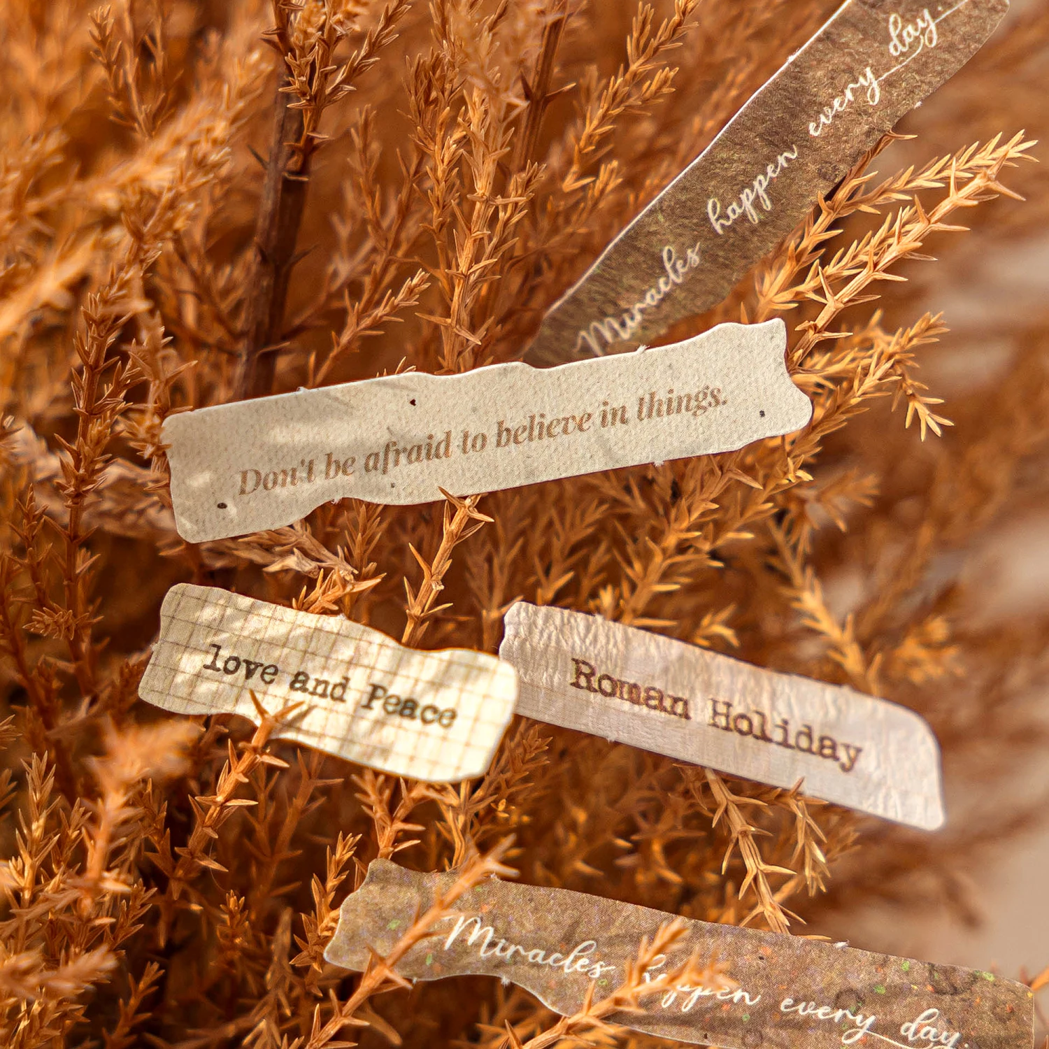 Винтажные наклейки для журнала английского языка - Фотография_2