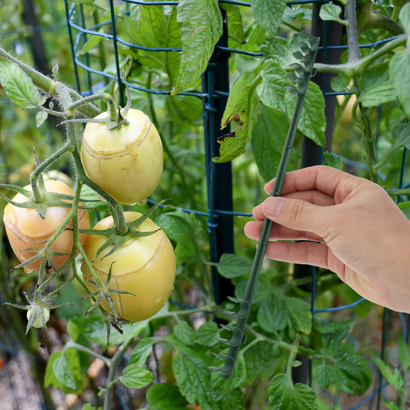 Зажим для садовой стержня - Фотография_2