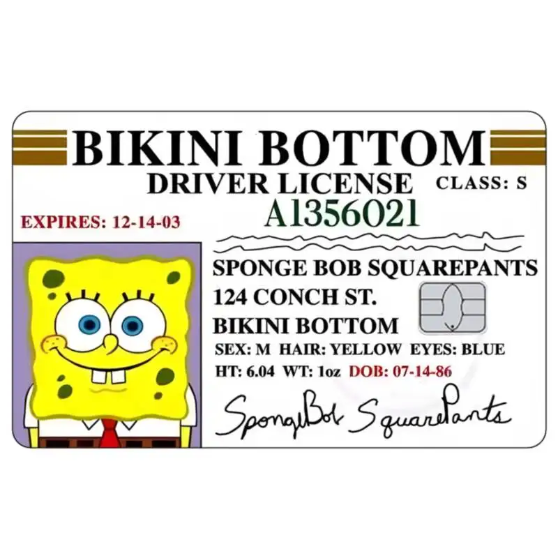 Мультфильм губка боб водительские - Фотография_3