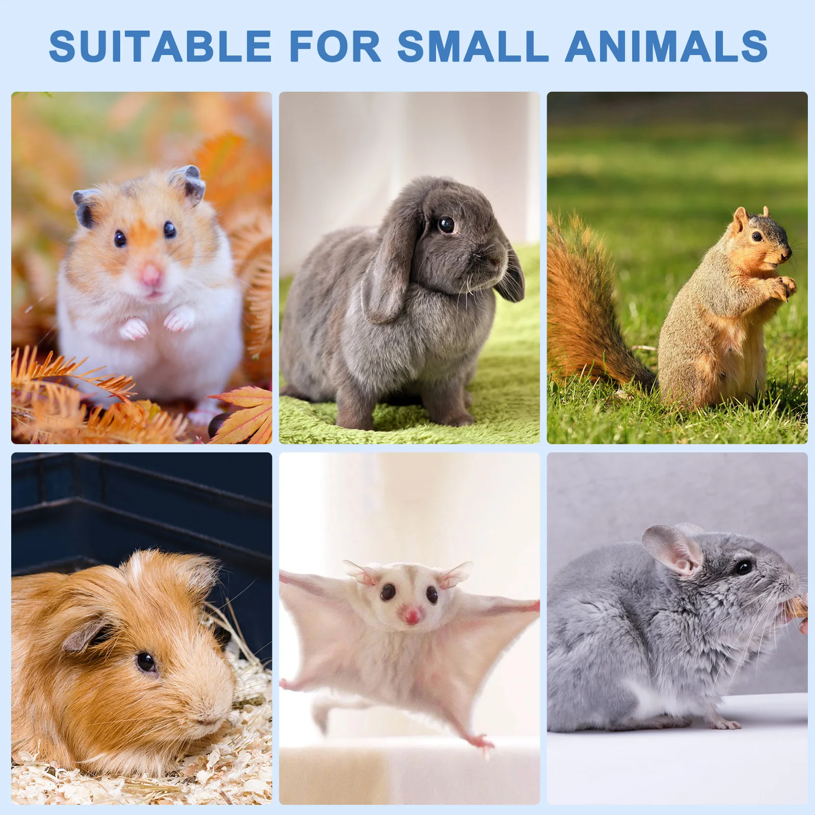 Минеральный камень для шлифовки зубов домашних животных - Фотография_2