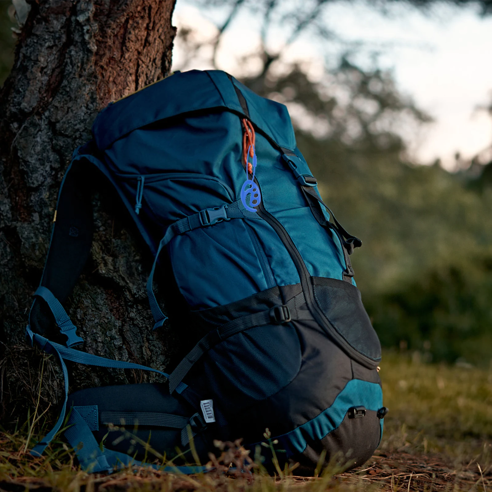 Держатель для летающего диска на открытом воздухе - Фотография_3