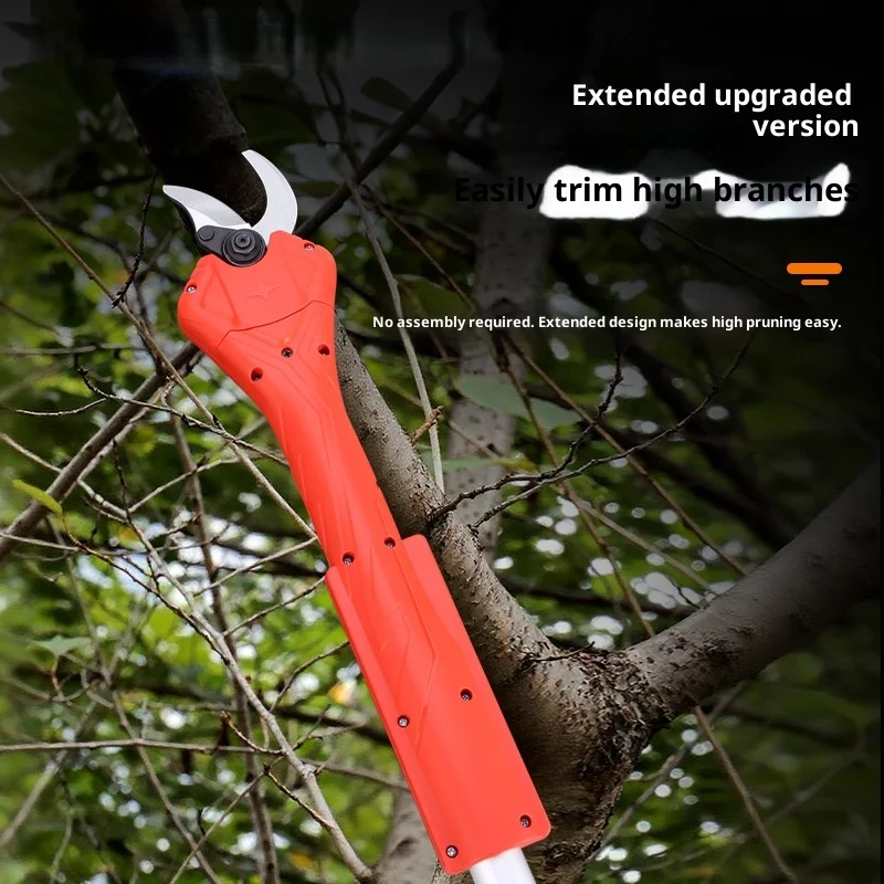 Садовые фруктовые деревья - Фотография_3