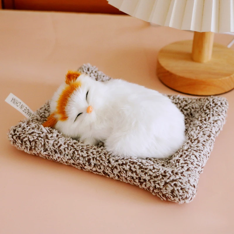 Маленький бамбуковый угольный кот - Фотография_6