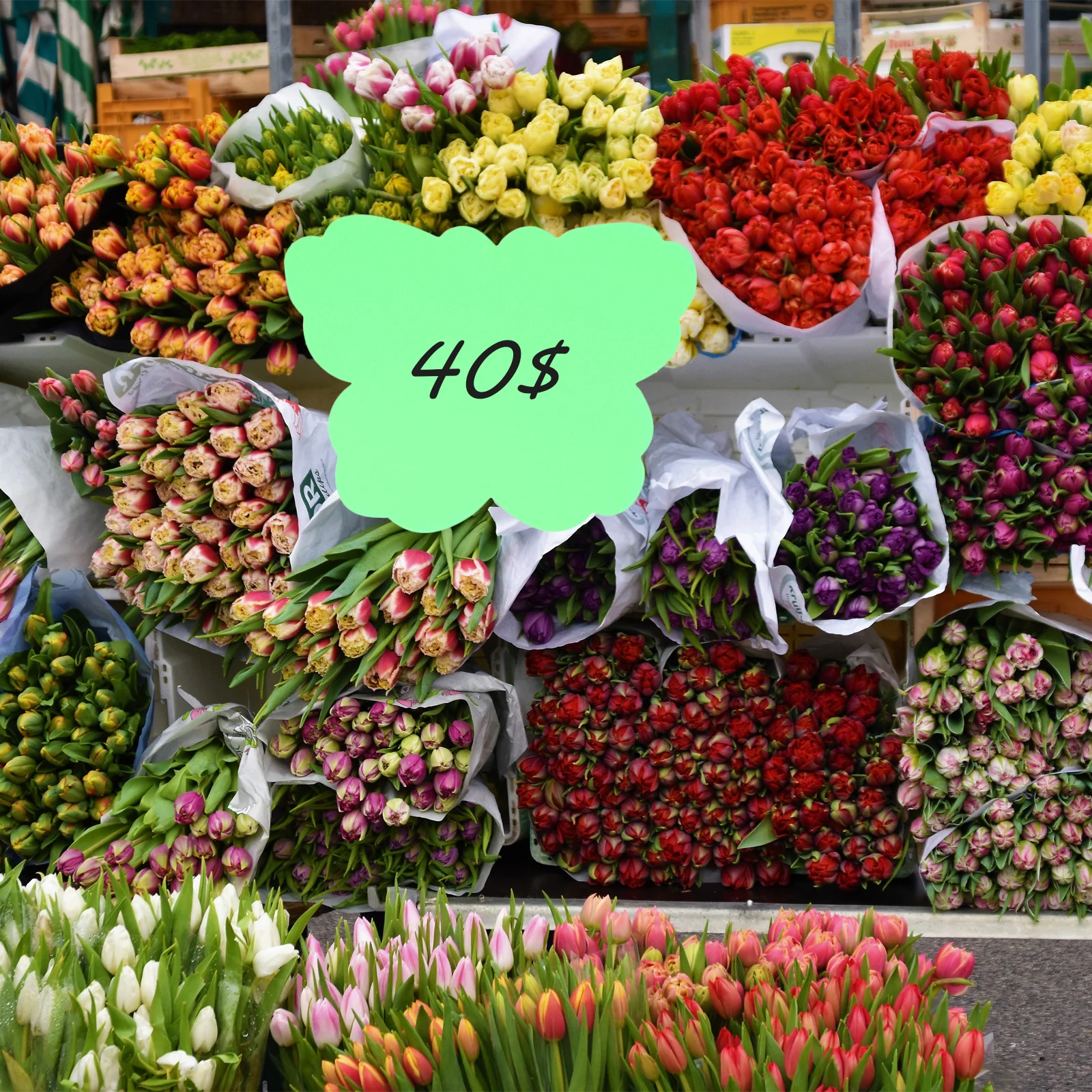 Коммерческие бумажные ценники в - Фотография_3