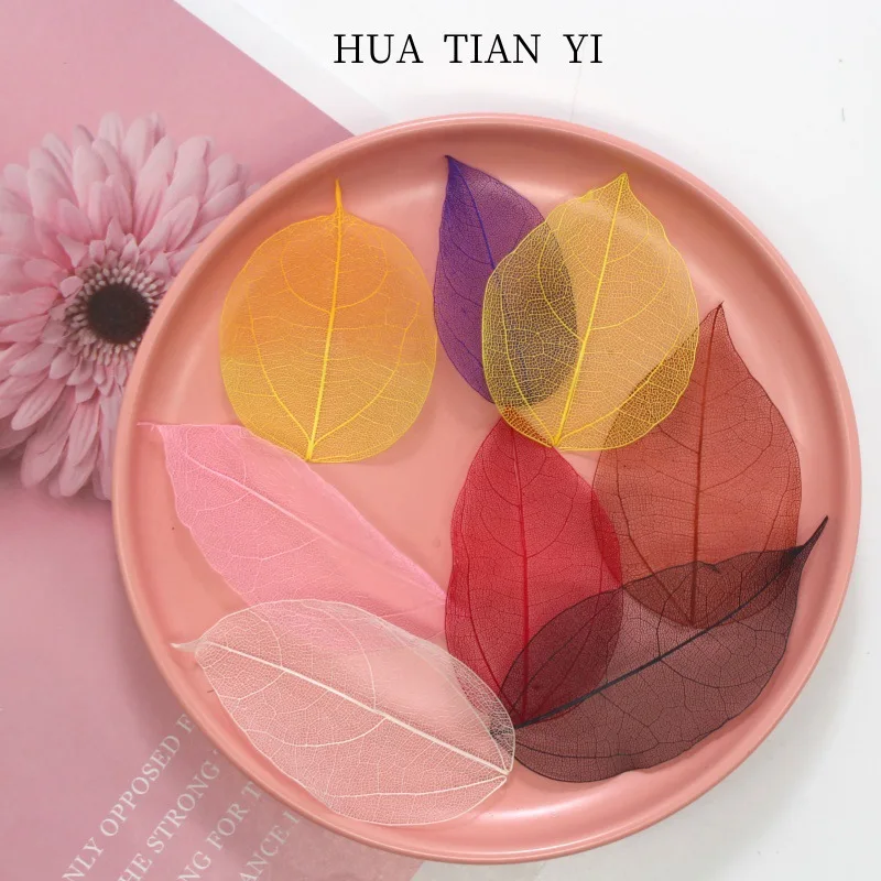 Листья магнолии с белыми ромбовидными прожилками