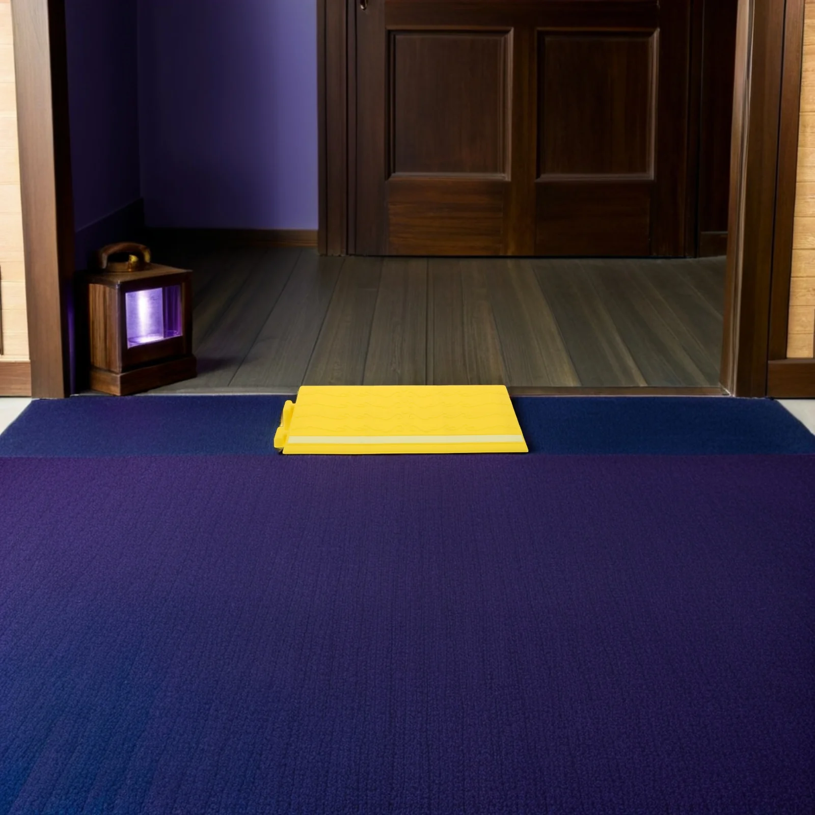 Флуоресцентный пороговый коврик для рампы 12 - Фотография_4