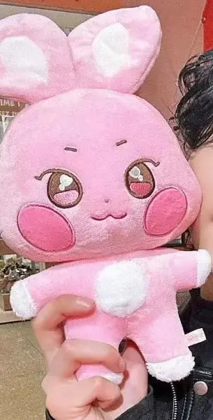Kpop aniteez kawaii мягкие игрушки - Фотография_5