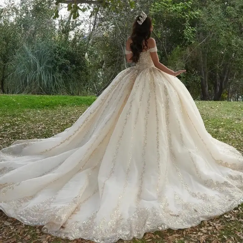 Блестящие платья quinceanera - Фотография_2