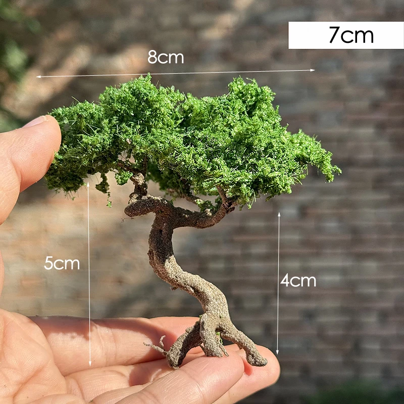 Модель горного соснового дерева - Фотография_4