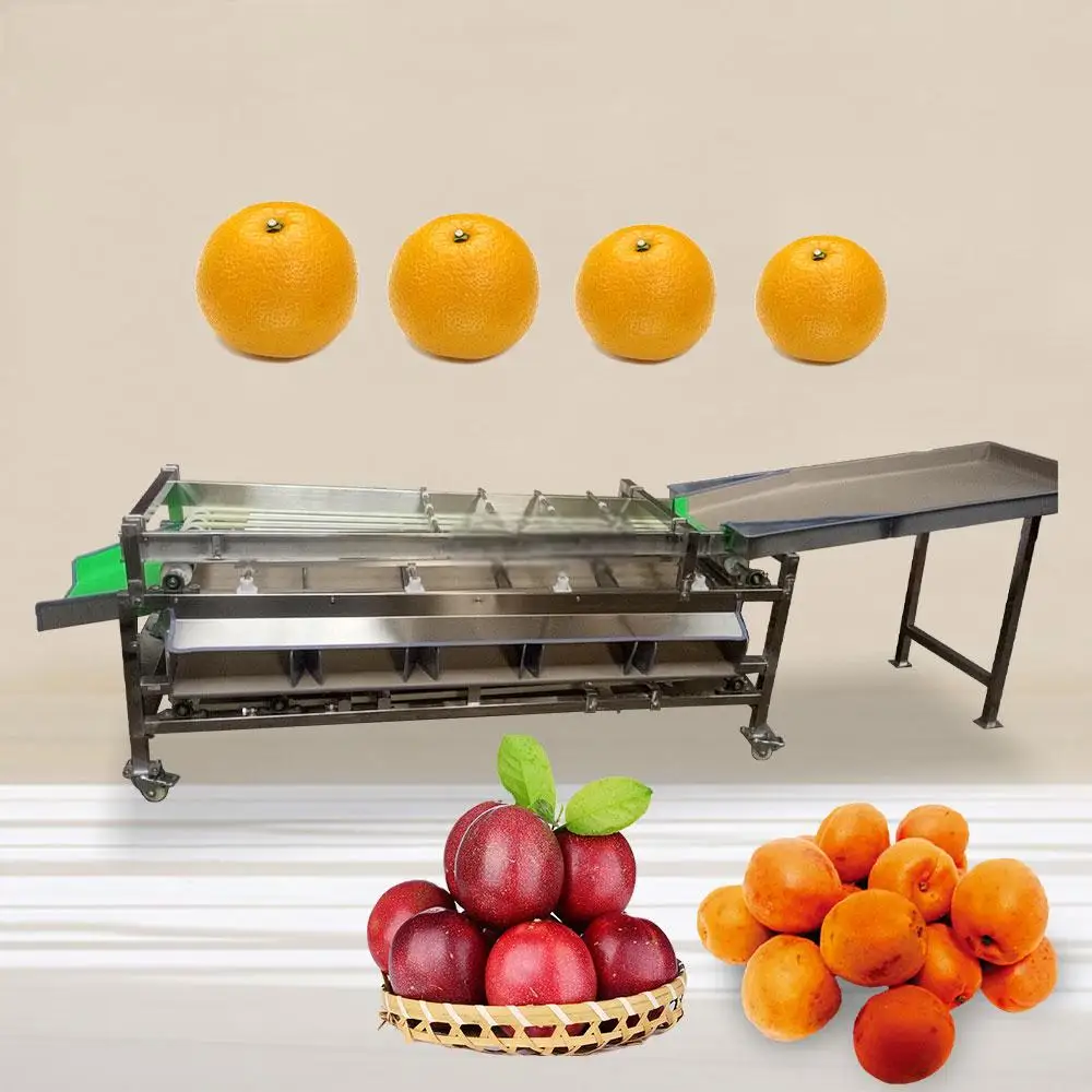 Многофункциональная машина для сортировки фруктов и овощей - Фотография_4