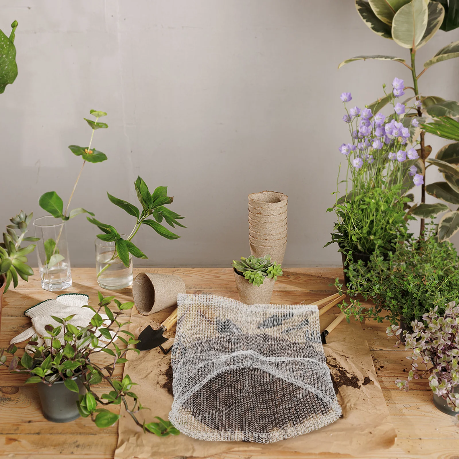 Защитная сетка для садовых растений из нержавеющей стали - Фотография_6