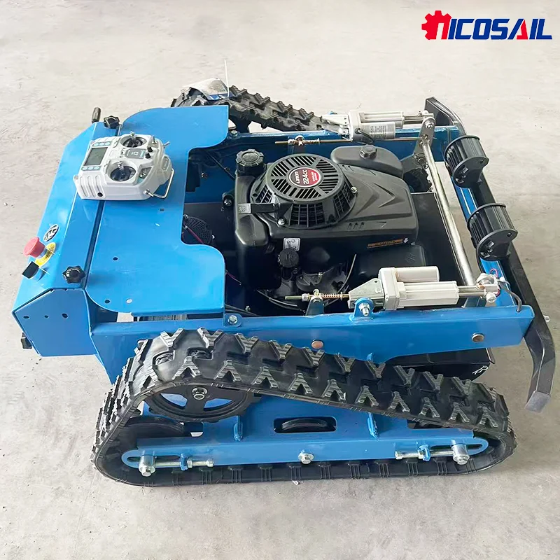 Домашний робот по индивидуальному заказу с дистанционным мониторингом - Фотография_2