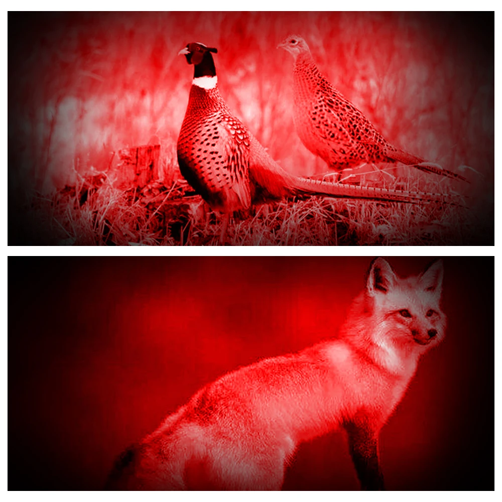 E5 портативный 625 нм красный свет - Фотография_5