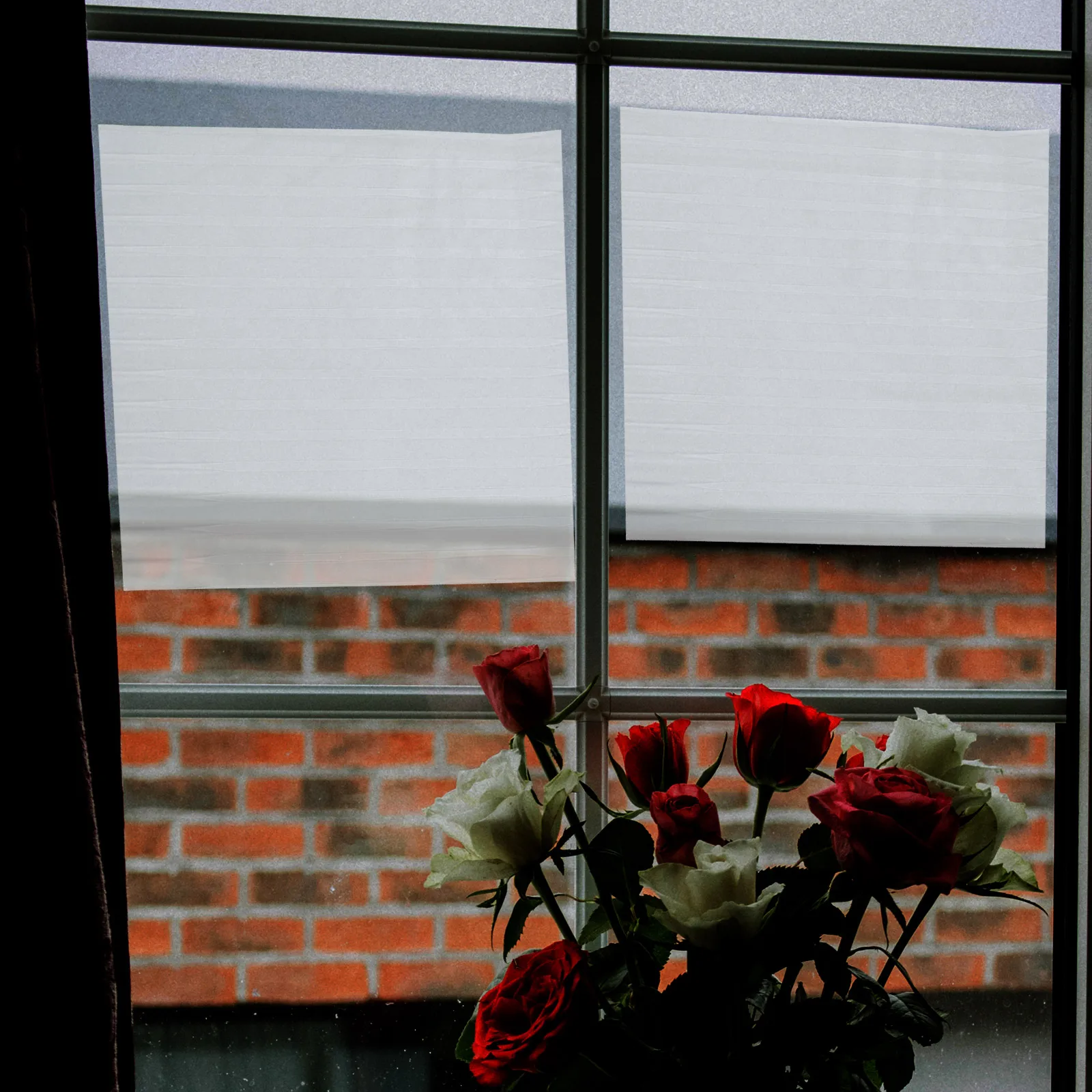 Статическая липкая пленка для конфиденциальности окон