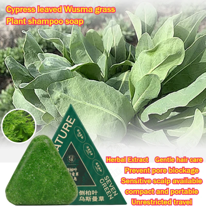 Кипарис лист усман трава шампунь