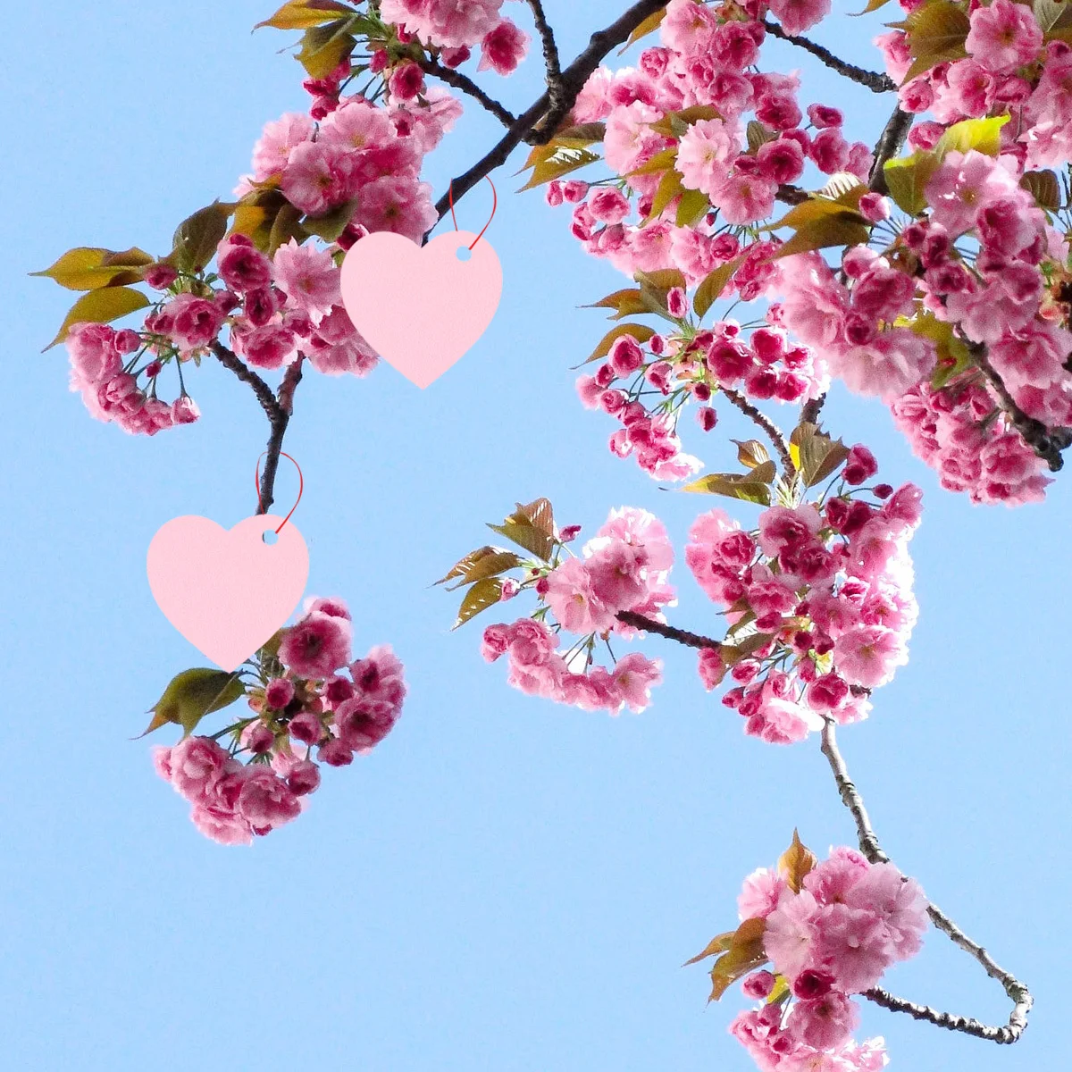 Бумажные подарочные бирки в форме сердца - Фотография_3