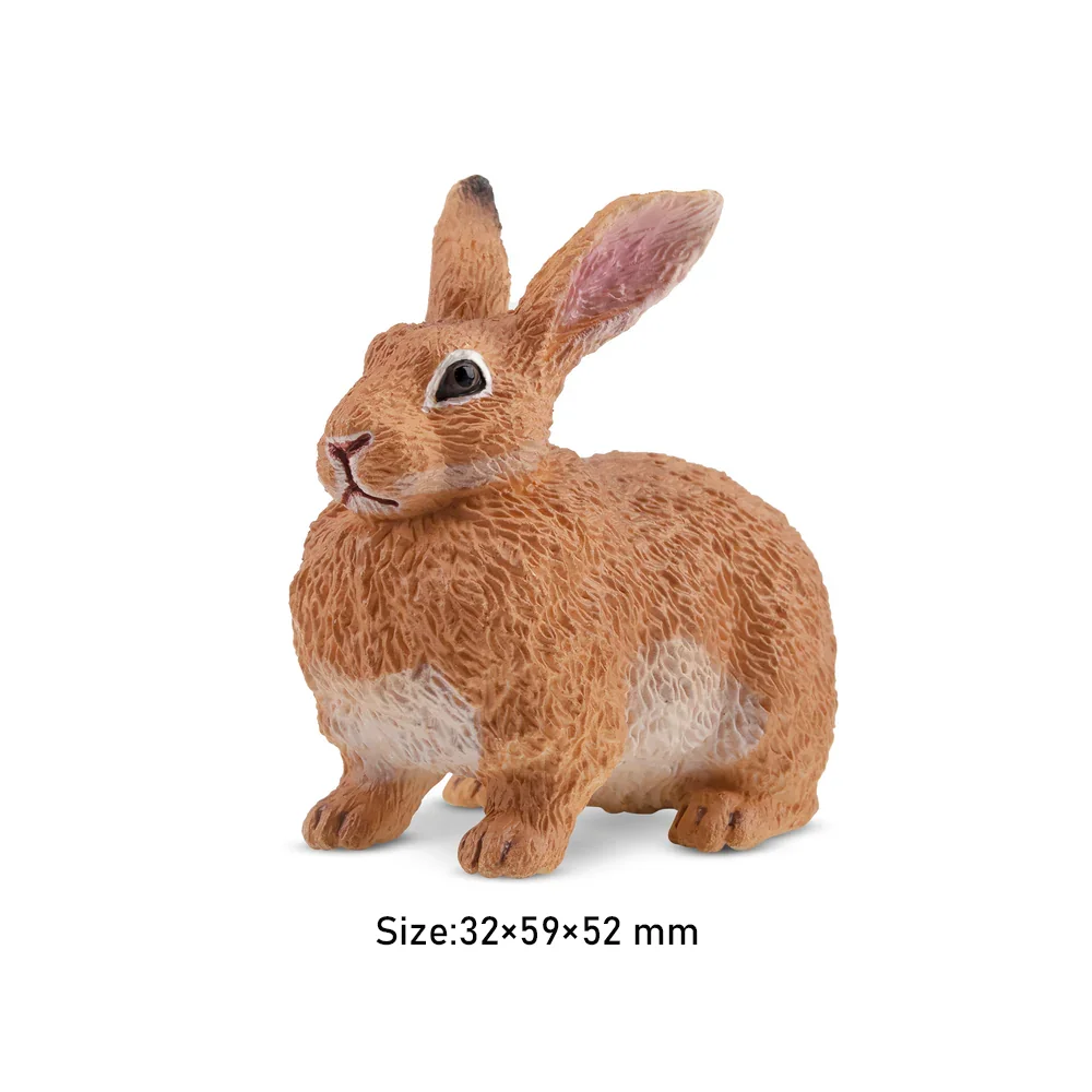 Toymany моделирование фламандский - Фотография_3