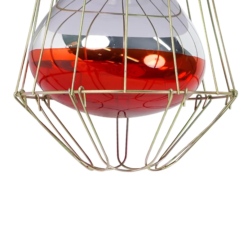 Нагревательная лампа для разрушения фермы - Фотография_5