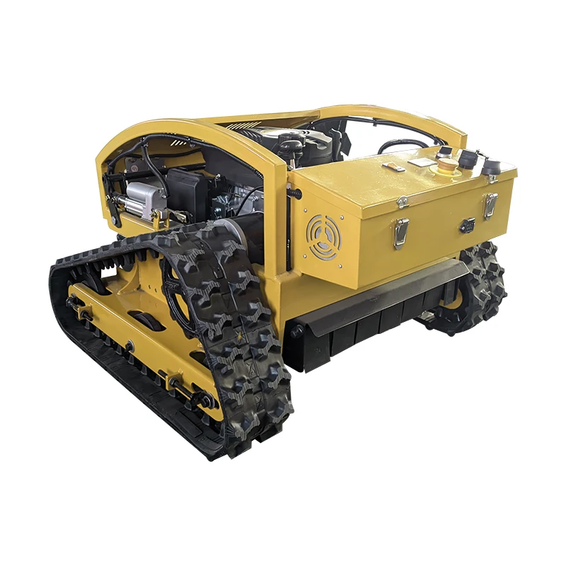 Домашний робот по индивидуальному заказу с дистанционным мониторингом - Фотография_6