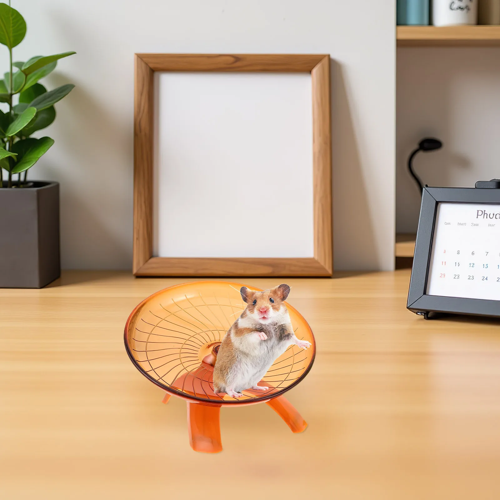 Колесо для хомяка - Фотография_2