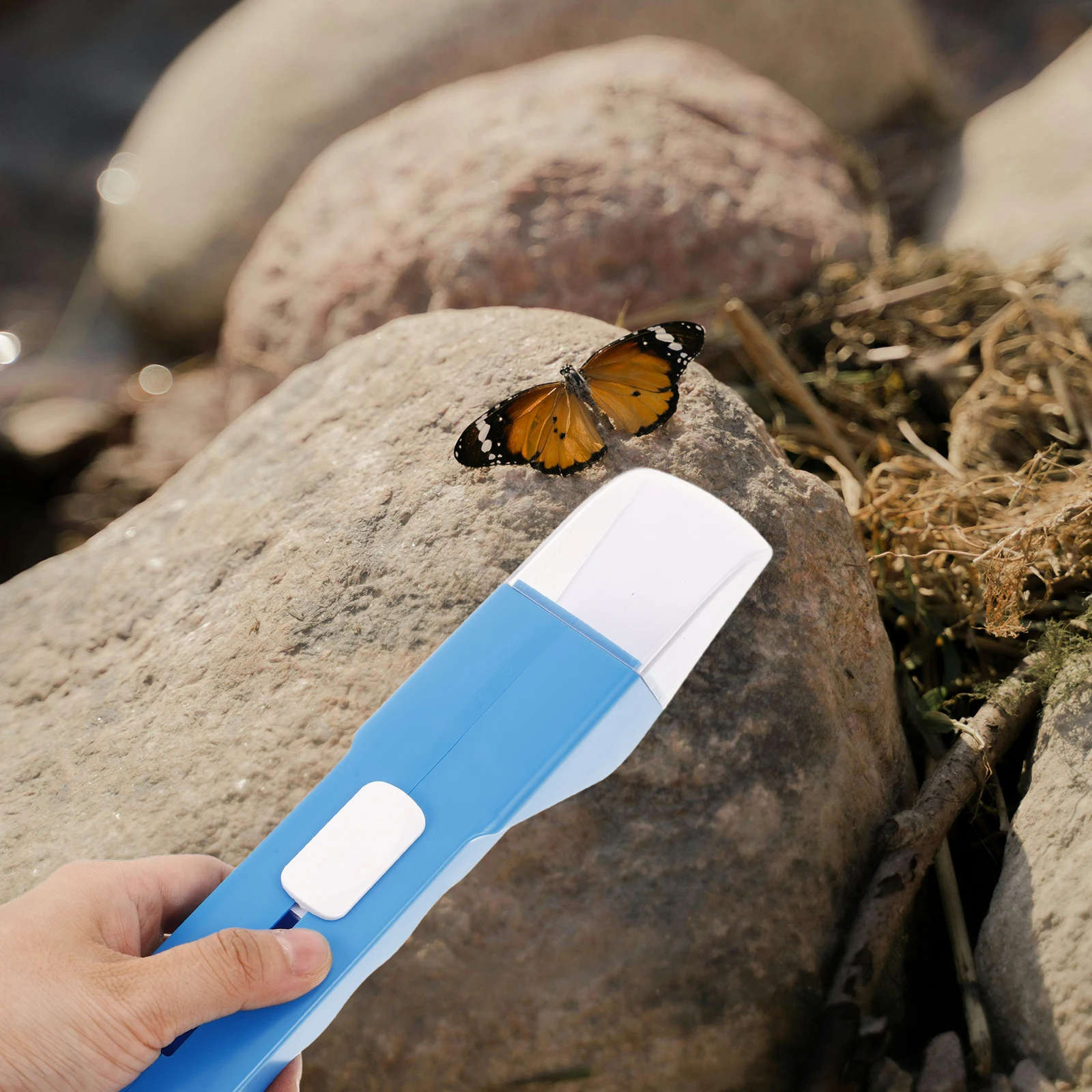 Ловец насекомых, ловец пауков, - Фотография_6