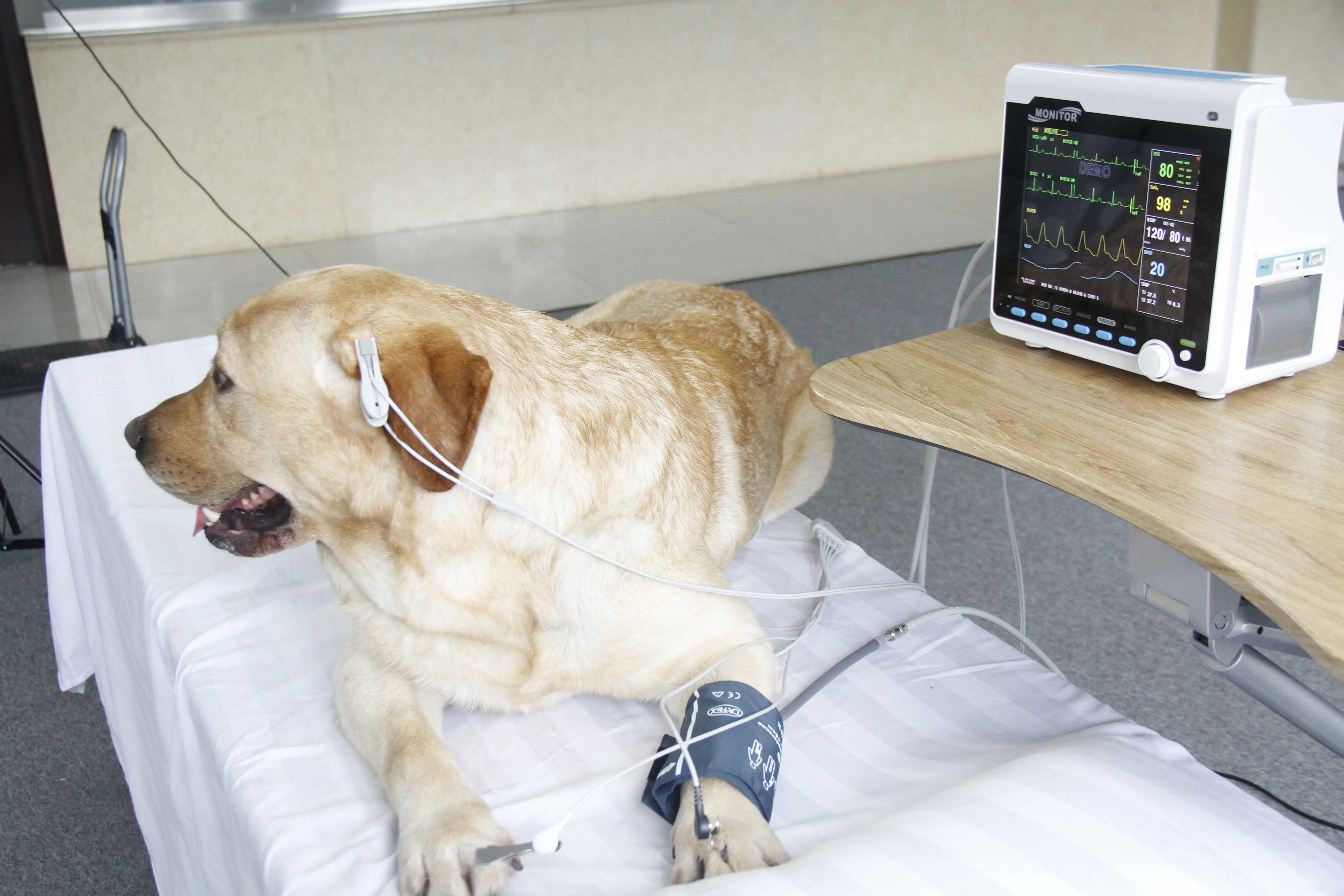 Cms6000vet ветеринарный тестовый комплект для домашних животных - Фотография_5
