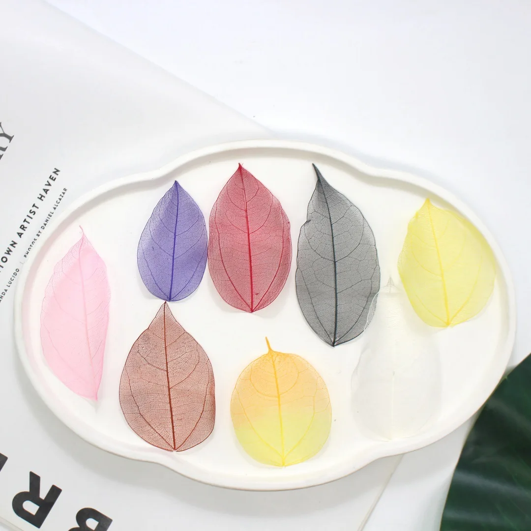 Листья магнолии с белыми ромбовидными прожилками - Фотография_2