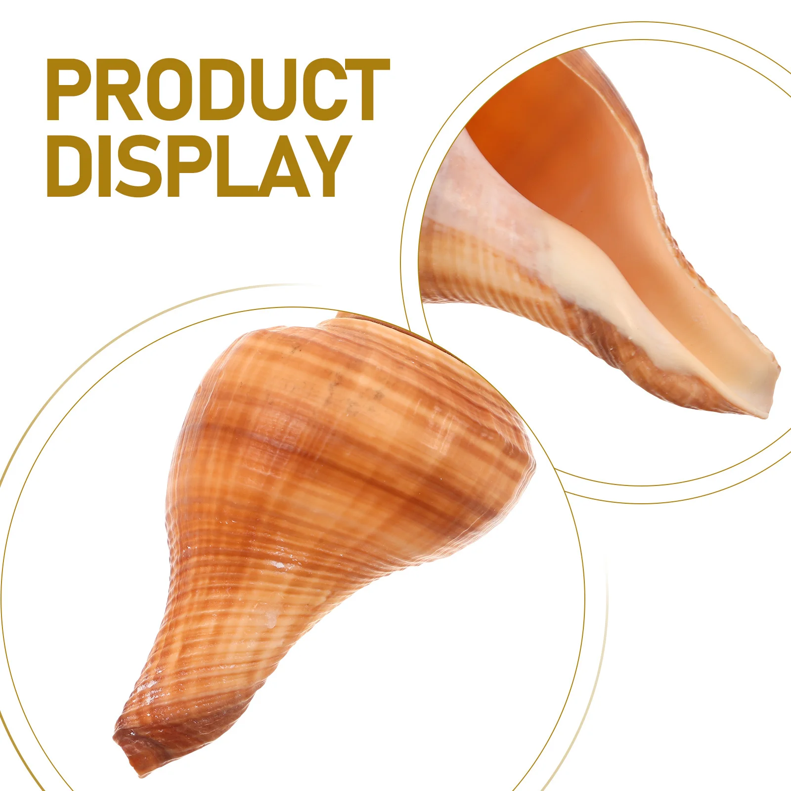 Натуральный свисток раковины уникальный - Фотография_5