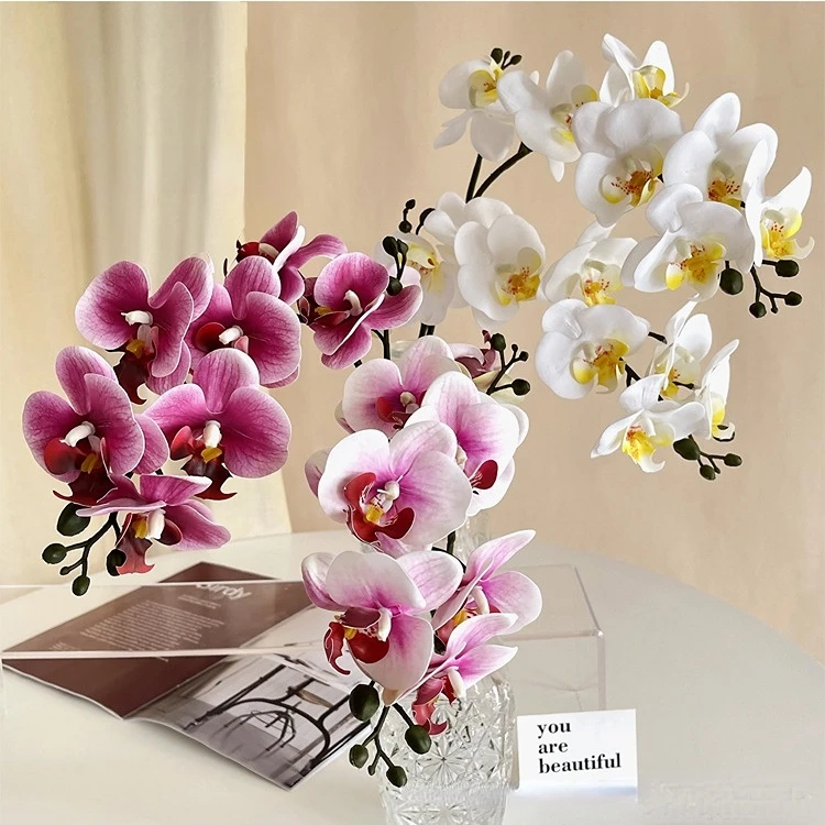 3d пленка для печати фаленопсис - Фотография_3