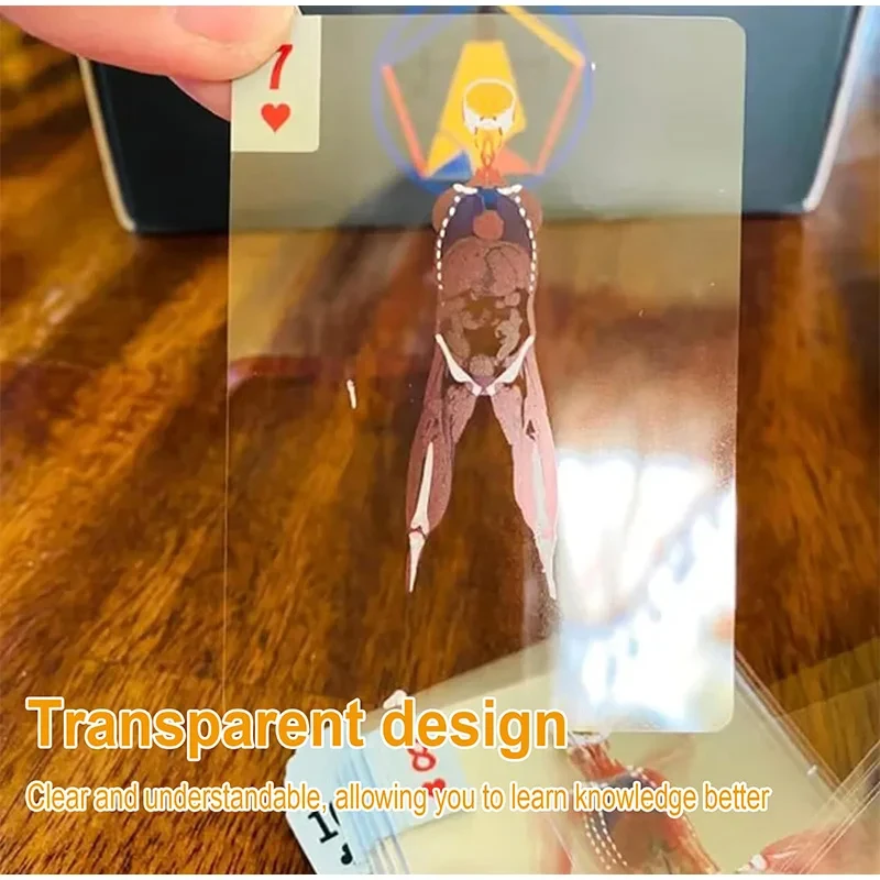 3d стереоскопические игральные карты с анатомией человека - Фотография_5