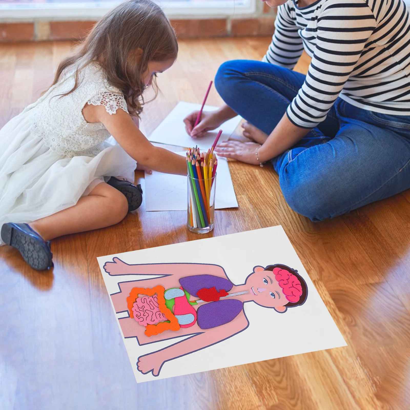 Учебные пособия модель человеческого