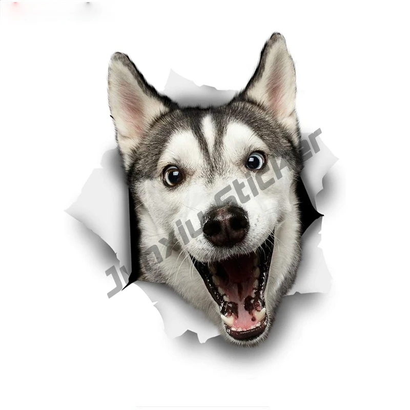3d-обои и наклейки happy husky kawaii