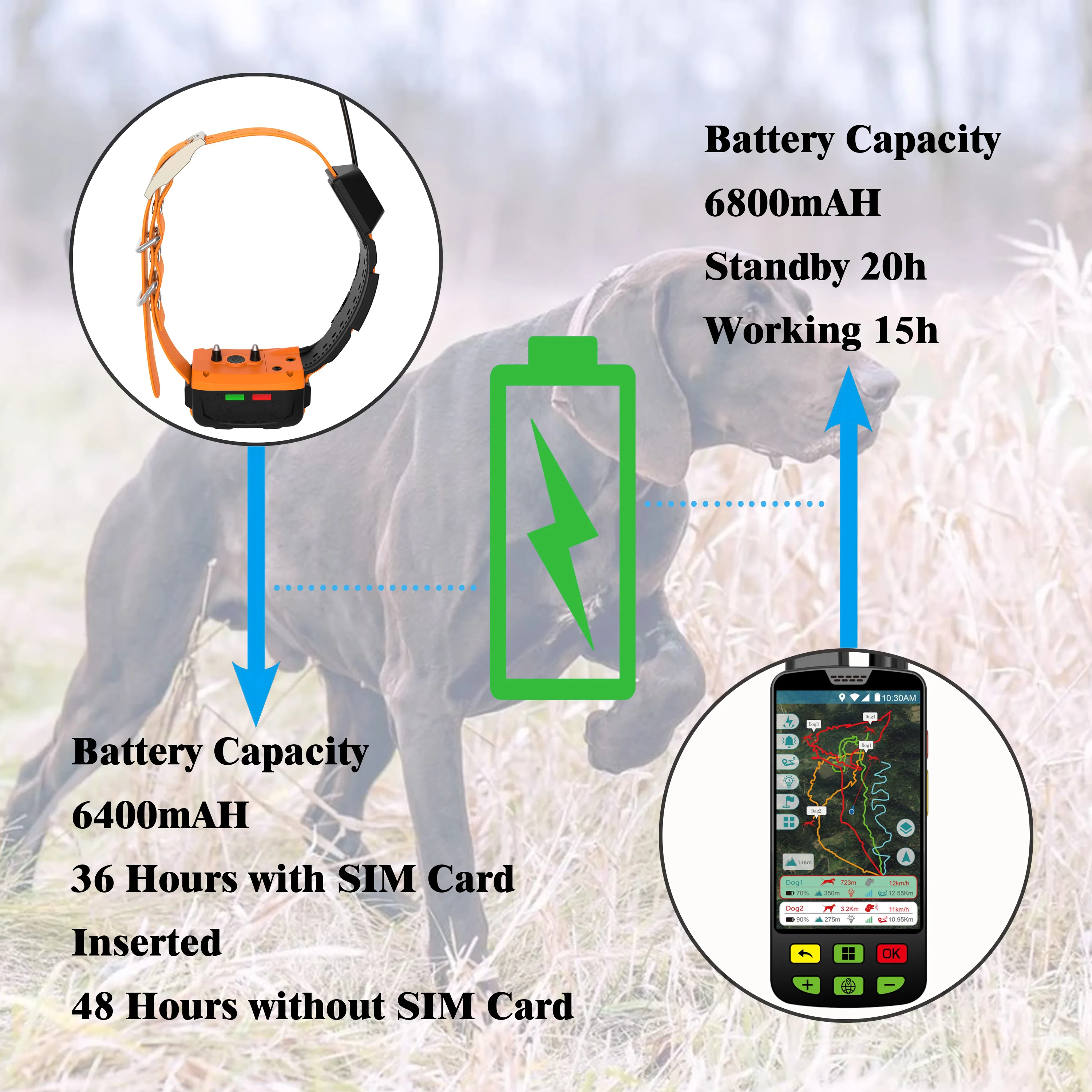 Eseek gps-ошейник для собак с водонепроницаемым - Фотография_5