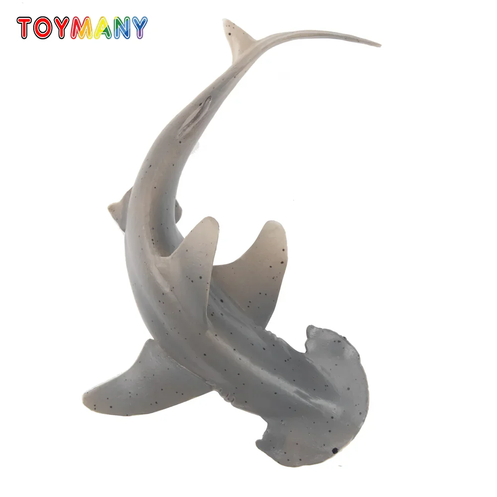 Toymany моделирование bonnethead