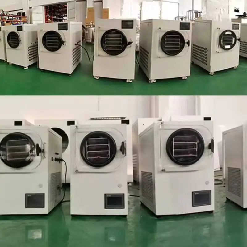 Вакуумная домашняя сублимационная сушилка для пищевых продуктов - Фотография_5