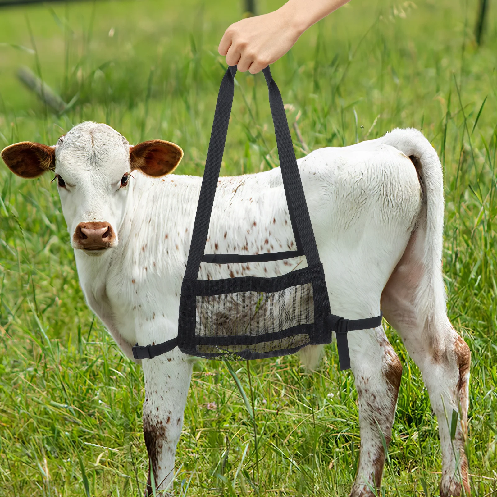 Слинг-весы для мелких животных - Фотография_3