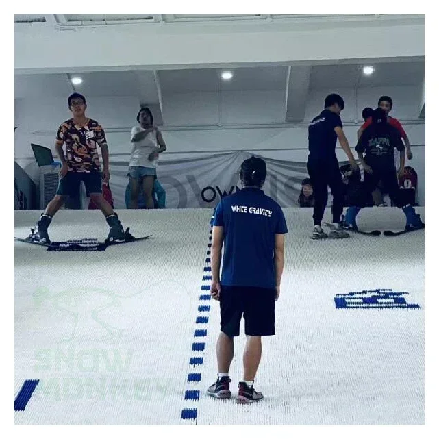 Образец гриба сухой лыжный коврик - Фотография_3