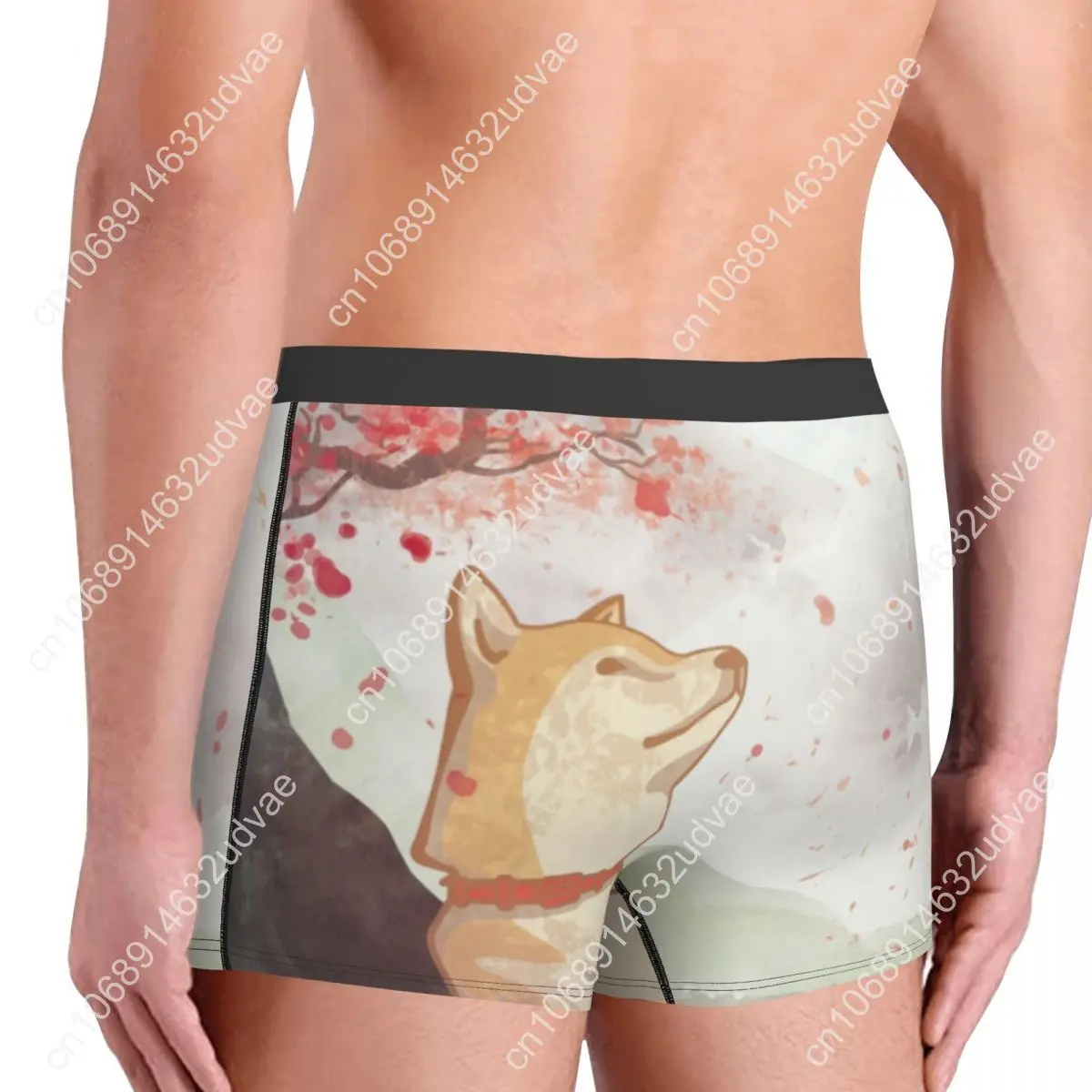 Новинка, боксеры shiba inu - Фотография_4