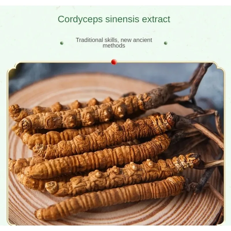 Cordyceps sinensis ремонтный крем - Фотография_4
