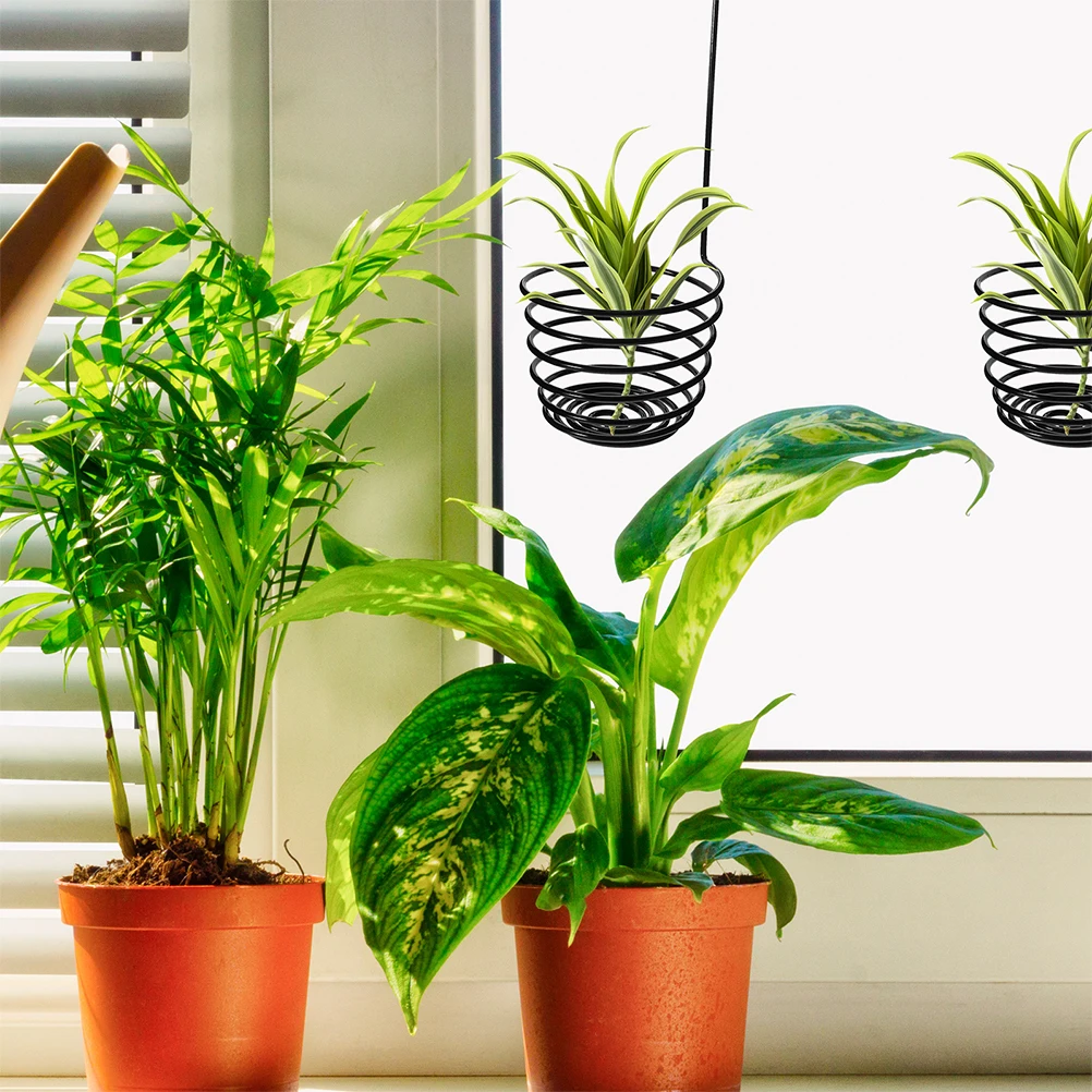Подвесной воздушный держатель для растений tillandsia - Фотография_5